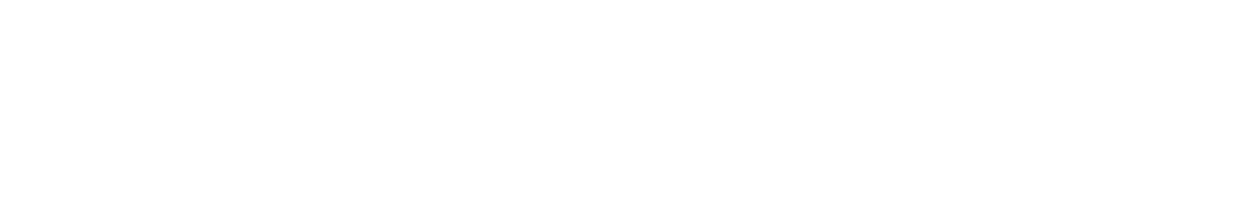 NotaPress logo białe
